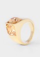 EMBER RING IN LIGHT GOLD