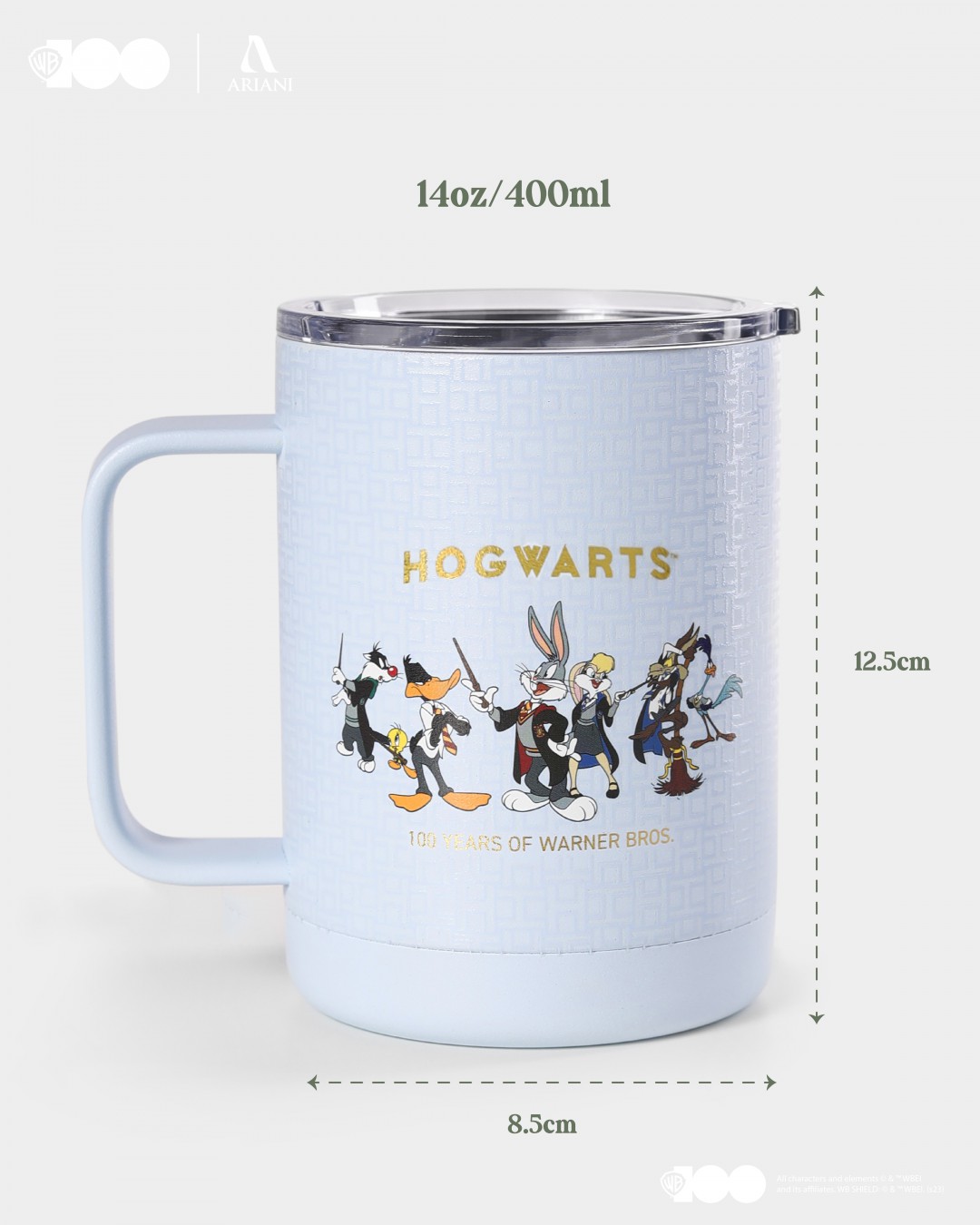 WB1OO MUG